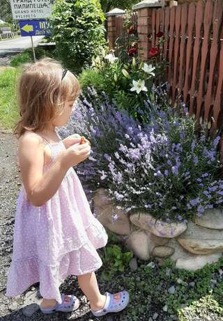 Гостевой дом У Мирослави Пилипец-1